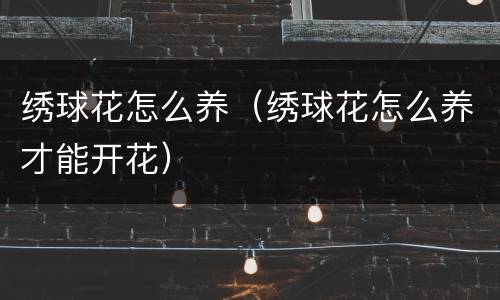 绣球花怎么养（绣球花怎么养才能开花）