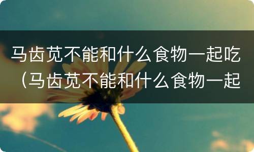 马齿苋不能和什么食物一起吃（马齿苋不能和什么食物一起吃 香哈）