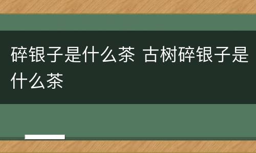 碎银子是什么茶 古树碎银子是什么茶