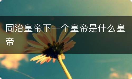 同治皇帝下一个皇帝是什么皇帝
