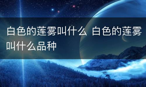 白色的莲雾叫什么 白色的莲雾叫什么品种