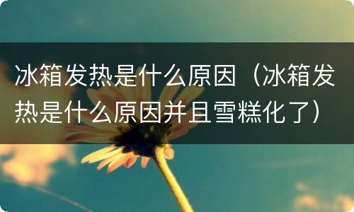 冰箱发热是什么原因（冰箱发热是什么原因并且雪糕化了）