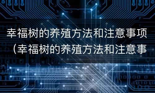 幸福树的养殖方法和注意事项（幸福树的养殖方法和注意事项视频）