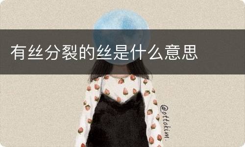 有丝分裂的丝是什么意思