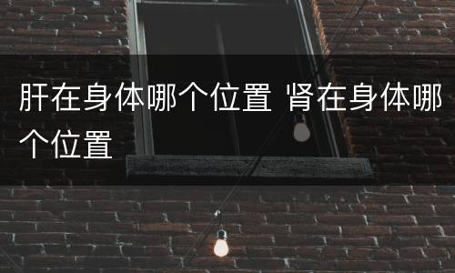 肝在身体哪个位置 肾在身体哪个位置