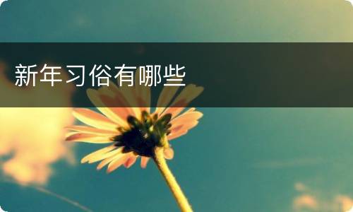新年习俗有哪些