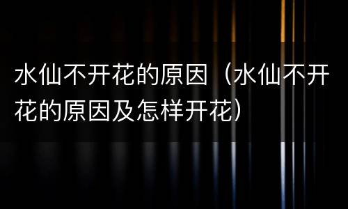 水仙不开花的原因（水仙不开花的原因及怎样开花）