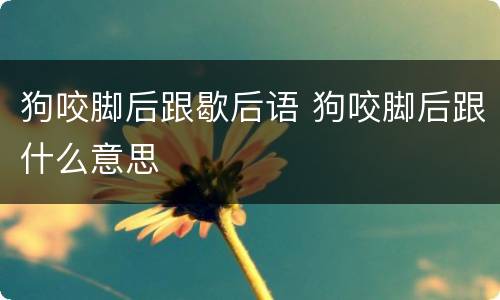 狗咬脚后跟歇后语 狗咬脚后跟什么意思