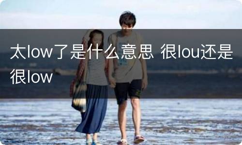 太low了是什么意思 很lou还是很low