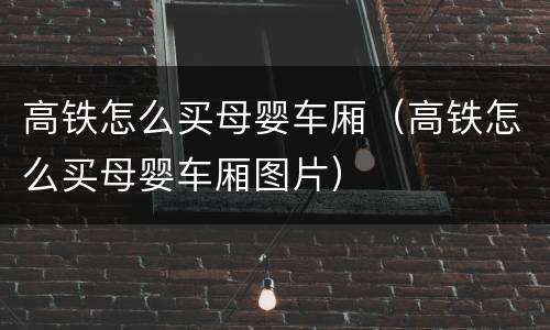 高铁怎么买母婴车厢（高铁怎么买母婴车厢图片）