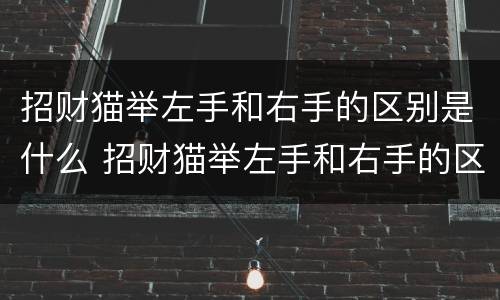 招财猫举左手和右手的区别是什么 招财猫举左手和右手的区别是什么呢