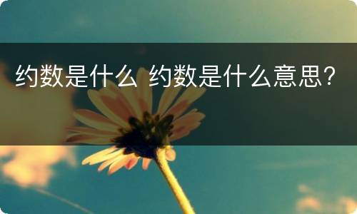 约数是什么 约数是什么意思?