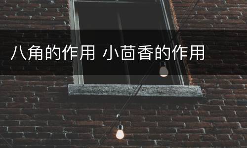 八角的作用 小茴香的作用