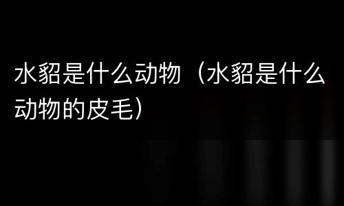 水貂是什么动物（水貂是什么动物的皮毛）