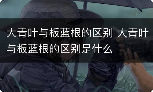 大青叶与板蓝根的区别 大青叶与板蓝根的区别是什么