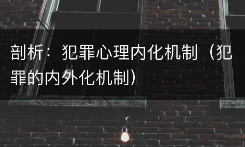剖析：犯罪心理内化机制（犯罪的内外化机制）