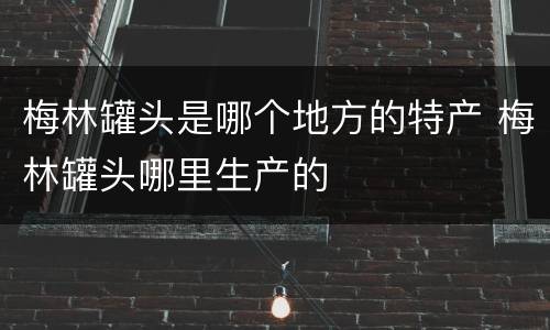 梅林罐头是哪个地方的特产 梅林罐头哪里生产的