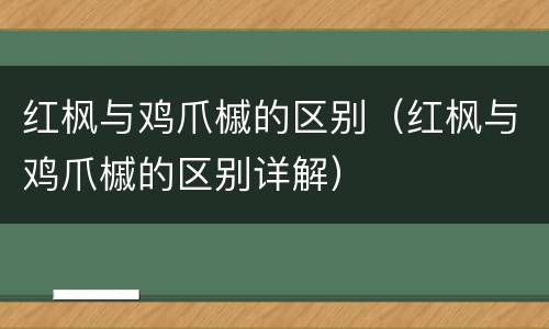 红枫与鸡爪槭的区别（红枫与鸡爪槭的区别详解）