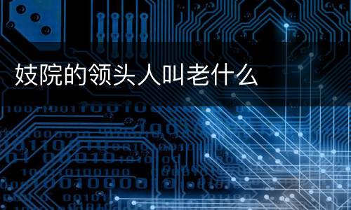 妓院的领头人叫老什么