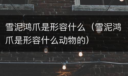 雪泥鸿爪是形容什么（雪泥鸿爪是形容什么动物的）