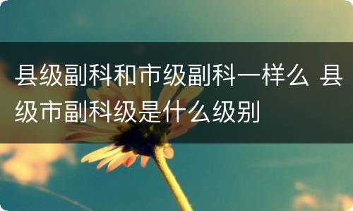 县级副科和市级副科一样么 县级市副科级是什么级别