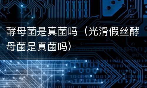 酵母菌是真菌吗（光滑假丝酵母菌是真菌吗）