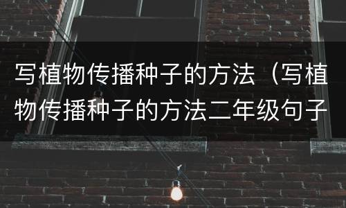 写植物传播种子的方法（写植物传播种子的方法二年级句子）