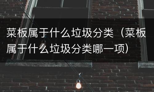 菜板属于什么垃圾分类（菜板属于什么垃圾分类哪一项）