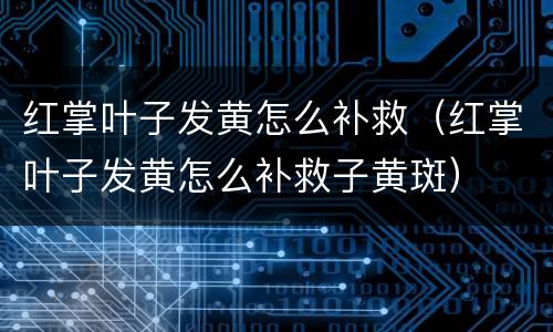 红掌叶子发黄怎么补救（红掌叶子发黄怎么补救子黄斑）