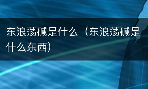东浪荡碱是什么（东浪荡碱是什么东西）