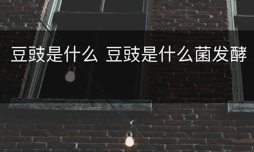 豆豉是什么 豆豉是什么菌发酵
