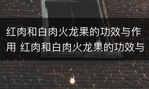 红肉和白肉火龙果的功效与作用 红肉和白肉火龙果的功效与作用及禁忌