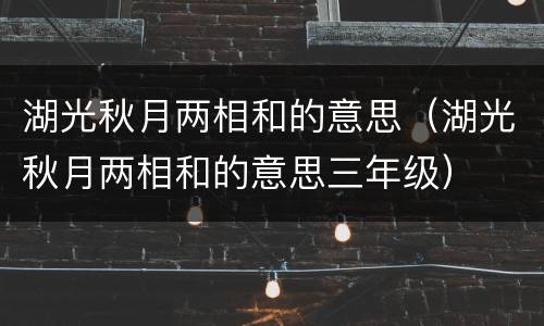 湖光秋月两相和的意思（湖光秋月两相和的意思三年级）