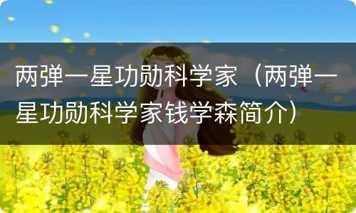两弹一星功勋科学家（两弹一星功勋科学家钱学森简介）
