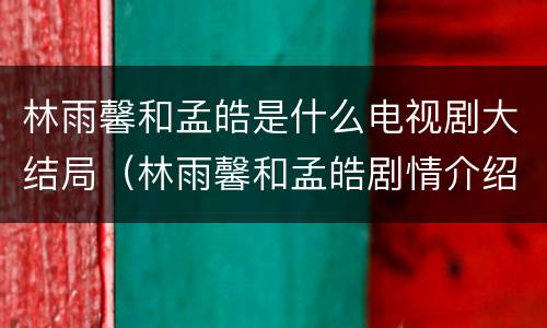 林雨馨和孟皓是什么电视剧大结局（林雨馨和孟皓剧情介绍）