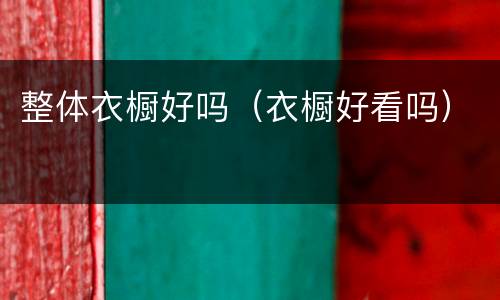 整体衣橱好吗（衣橱好看吗）
