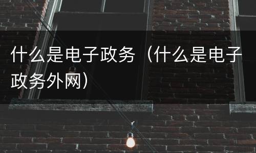 什么是电子政务（什么是电子政务外网）