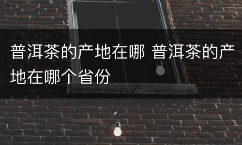普洱茶的产地在哪 普洱茶的产地在哪个省份
