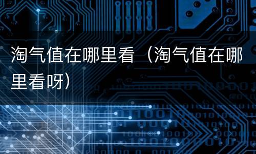 淘气值在哪里看（淘气值在哪里看呀）