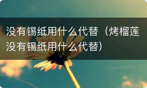 没有锡纸用什么代替（烤榴莲没有锡纸用什么代替）
