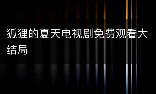 狐狸的夏天电视剧免费观看大结局