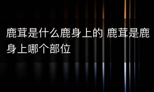 鹿茸是什么鹿身上的 鹿茸是鹿身上哪个部位