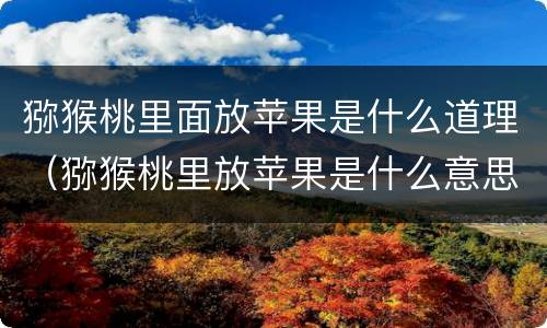 猕猴桃里面放苹果是什么道理（猕猴桃里放苹果是什么意思）