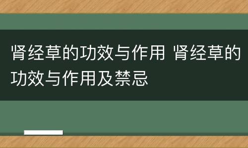 肾经草的功效与作用 肾经草的功效与作用及禁忌