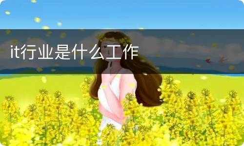 it行业是什么工作