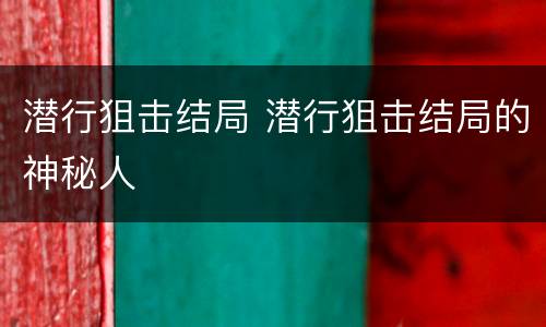 潜行狙击结局 潜行狙击结局的神秘人