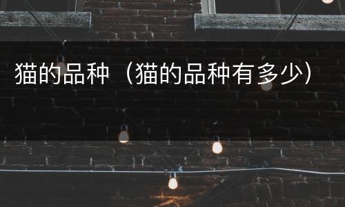 猫的品种（猫的品种有多少）