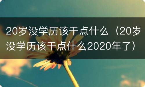 20岁没学历该干点什么（20岁没学历该干点什么2020年了）