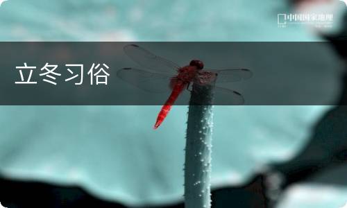 立冬习俗