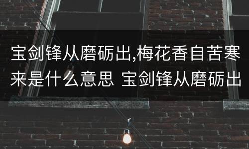 宝剑锋从磨砺出,梅花香自苦寒来是什么意思 宝剑锋从磨砺出,梅花香自苦寒来的含义